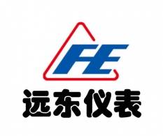 远东仪表
